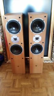 Biete Bassboxen von CAT die Boxen sind in Ordnung ich gebe sie aus Platzgründen