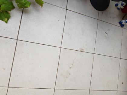 Fachmann zur Balkonisolierung für Diemelstadt gesucht
