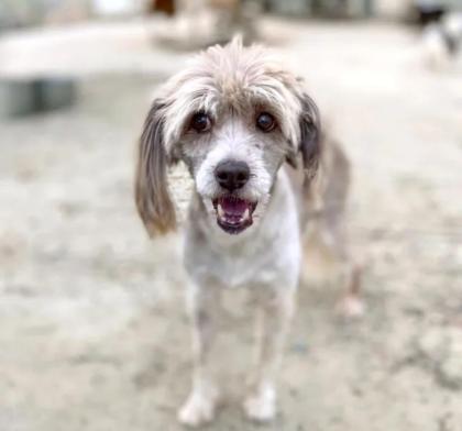Narani sucht ein passendes Zuhause