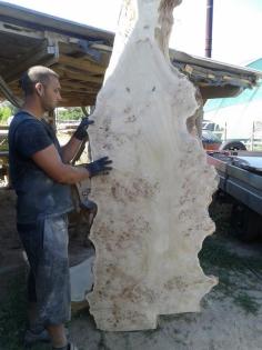 Getrocknetes Schnittholz aus Topolya - Pappelholz bestellbar