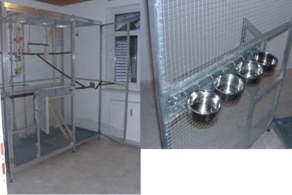 Einladung Wir laden Ihren Hund oder Ihre K
