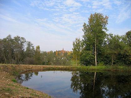 Countryside house sauna river for sale ABROAD