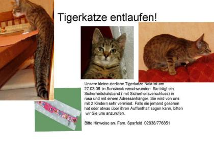 Süsse Perserkatze abzugeben