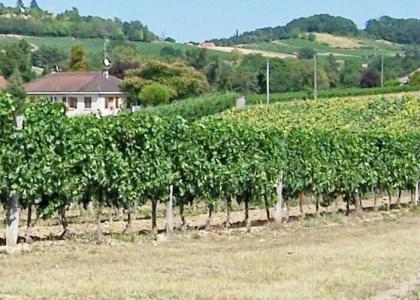BERGERAC französischer Wein auf deutsch .