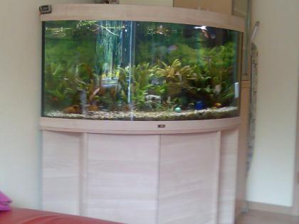 Eckaquarium