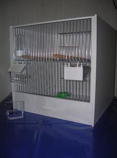 Gebe ab Zuchtboxen
