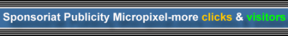 Sponsoriat Publicity Micropixel