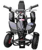 Quad ca. 60 km/h schnell