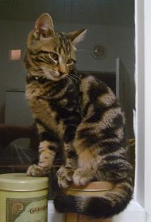 KATER ENTLAUFEN 03. 10. 2022 PFORZHEIM