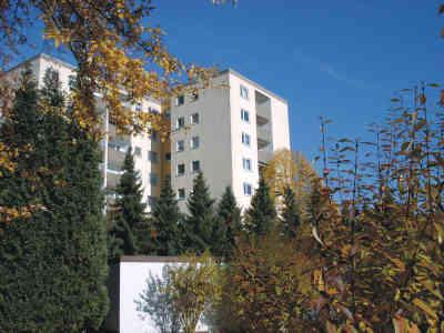 Schöne 3-Zimmer-Wohnung mit direktem unverbaubaren Mainblick direkt vor den Tor