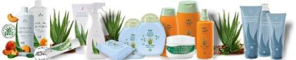 THE WORLD OF WELLNESS BEAUTY