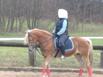 Bin ein super allround talent