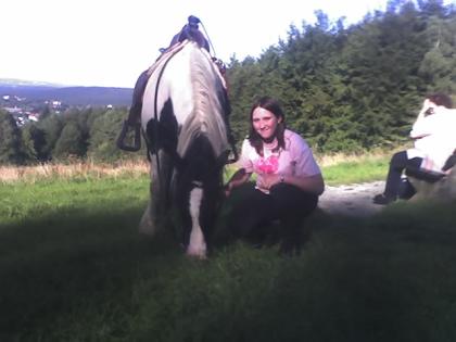 SUCHE REITBETEILIGUNG IN ISERLOHN