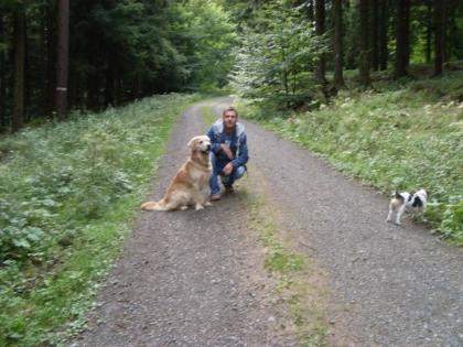 Wohlerzogener Familienhund Golden Retriever und ruhiger kinderlieber Jack Rus