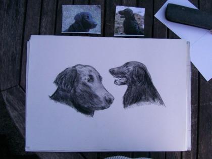 Zeichne auf Bestellung Portraitzeichnungen Tierportraits .