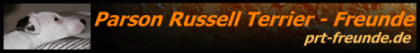 Parson Russell Terrier Freunde - Das Forum für alle Russell-Freunde