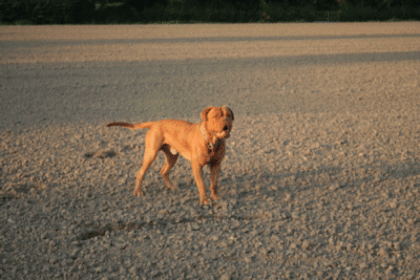 Bruno Sucht nette sie