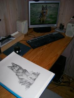 Tierportraits auf Bestellung Zeichnungen Aquarell .