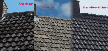 Dachreinigung/Dachbeschichtung