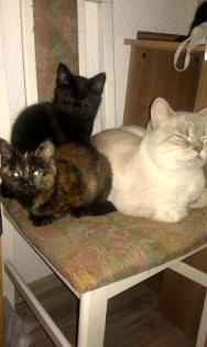 Unsere Mama will dass wir ausziehen. -