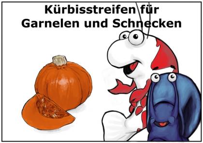 15g Hokkaido - Kürbis - Chips Futter für Garnelen Schnecken und Krebse