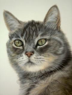 Lebensnahe Tierzeichnungen und Tierportraits