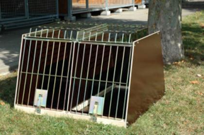 Verkaufe BROMET Doppelhundebox Öffnung nach oben