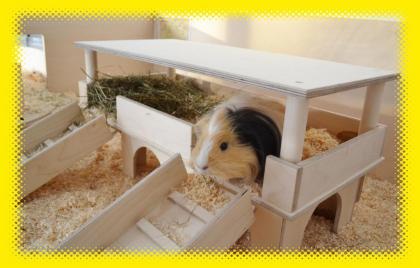 Luxus Traumvilla für Meerschweinchen Kleintiere aus Schreinerhand