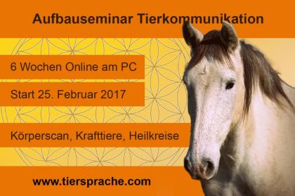 25. 2. 2022 Online-Aufbauseminar Tierkommunikation