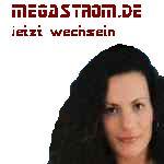 Werden Sie Energieberater