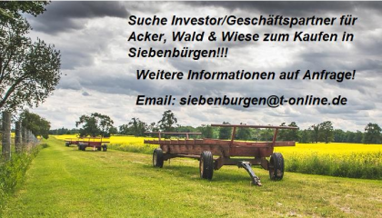 Geschäftspartner für Acker Wald Wiese zum Kaufen in Siebenbürgen