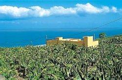 Finca Villa las Vi as - Teneriffa