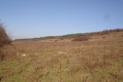 Land in C. A. Rosetti Iasi
