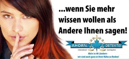 AHORN DETEKTEI DETEKTIVE FRANKFURT STATUS INTERNATIONAL