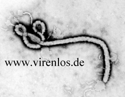 Domain www. virenlos. de wird verkauft