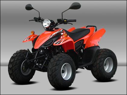 Quad-ATV Dolphin 50cc mit Zulassung das Schärfste was man ab 16 Jahren auf vier