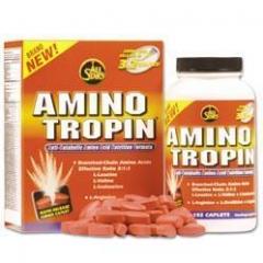 All Stars AMINOTROPIN 132 Kapseln Dose
