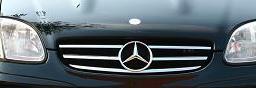 Sportgrill Mercedes SLK R170