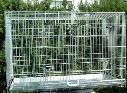 Hundetransportbox Ausstellungsbox Drahtkäfig