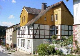 Harz Tanne