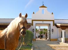 Www. Reiterflirt. eu und Hacienda El Boyal verlosen eine Woche Single-Urlaub in An