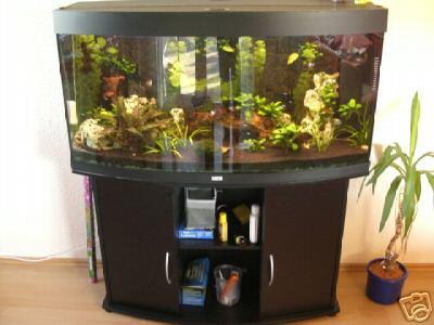 Juwel Vision 260 2jahre alt komplett 154 Liter Becken Set