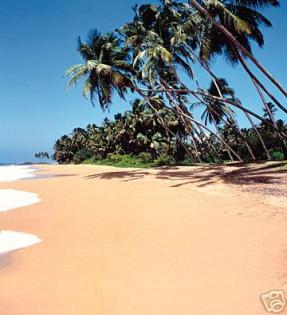SRI LANKA Beruwela Ü. F. 10 00 Euro. Preisw. Rundreisen