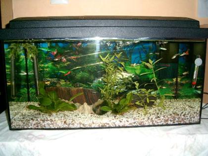 Aquarium zubehör ab zu geben