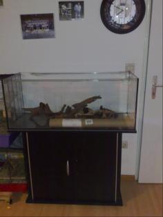 Aquarium verkaufen