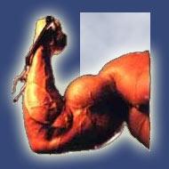 German Bolics Produkte/ Steroid Cutting.