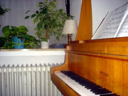 Querflöte u. Klavier Unterricht in Bremen Walle