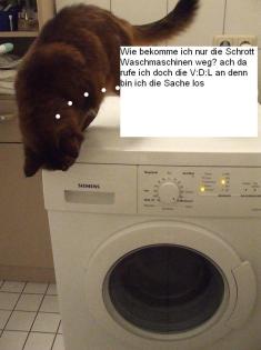 Schauen sie mal nach viel leicht haben sie was in Keller oder so was weg muss