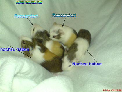 Vorherige Nächste Seite