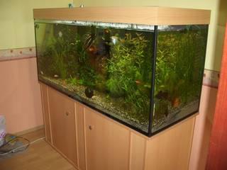 Aquarium 670 l l/b/h 160/60/70 Unterschrank Abdeckung zu verkaufen